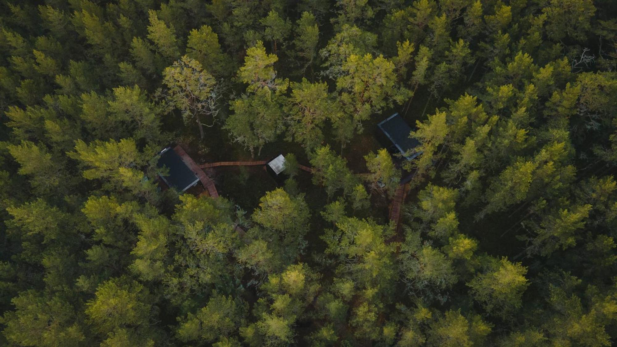 Oeoed Hoetels Lohusalu Leida & Enno Laulasmaa Exteriér fotografie